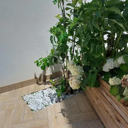 Civico 72 3* 马尔塔诺