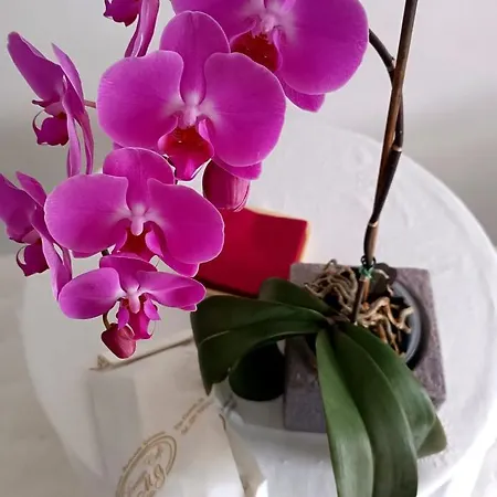 Civico 72 3* Martano