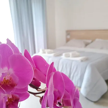 Civico 72 招待所 3*